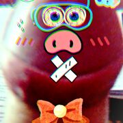 Toibingu__1