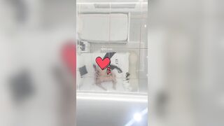đụ em từ nhà tắm lên đến giường rồi xuất tinh lên đầy bụng em