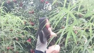 Nguyễn Thị Khánh Linh 2k9 đang chén vải ngoài vườn thủ dâm khỏa thân