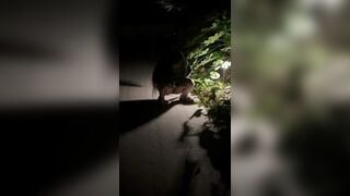 bắt quả tang, nhỏ này lén lút tè bậy nhá! đái lẹ, có người tới kìa!