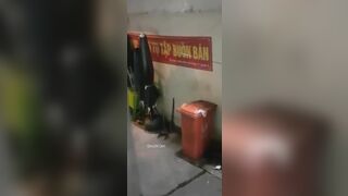 Clip Hot Tài Xế Bee Ép Em Gái Ăn Xin Bú Cặc Mình Trong Hẻm