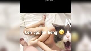 Kèo some đầy dâm dục . Em gái 2k4 thay phiên hầu hạ 2 anh trai