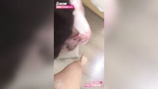 ngoại tình với một nữ đồng nghiệp đã có chồng. Con đĩ nhỏ nhất quỳ xuống đất