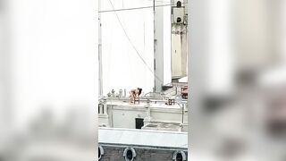 đổi gió cùng nhau lên sân thượng địt nhau