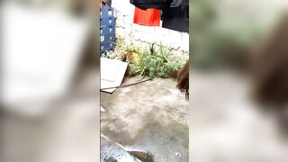 Clip Hot Gạ Em Hàng Xóm Đang Phơi Quần Lót Chịch Xã Giao