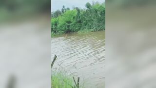 Vừa câu cá vừa sục