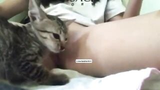 Bé HS cho mèo liếm lồn đỉnh của chóp