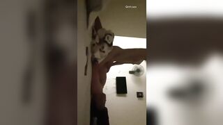 Bé 2k5 nuột dáng siêu loli cưỡi ngựa uốn éo điêu luyện, cuộc tình fwb nồng cháy