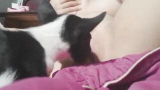 Sex 5h Sáng Đã Dậy Tự Sướng Vì Tiếng Gà Gáy