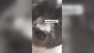 full clip bé bumbumcuti nhảy khỏa thân show hàng thủ dâm và cho cún liếm lỗ lồn