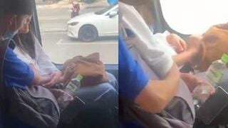 Sex Mò Vú Người Yêu Trên Xe Buýt Công Cộng Bị Quay Lại