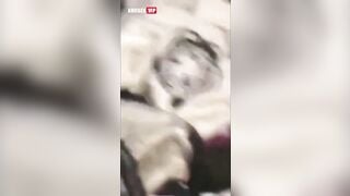 Lũ khốn nạn, Cưỡng dâm teen HS c2 11 Lồn non tơ Thg djt thg quay video