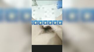 Sex Triệu Thùy Dương Gái Xinh Vn Thủ Dâm Trong Nhà Tắm