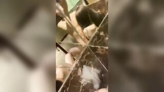 Sex Phương Anh 2ka9 Địt Trước Gương Cực Kích Thích