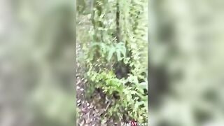 Mang theo áo mưa vào trong rừng hoà mình với thiên nhiên cùng bé gái trong rừng
