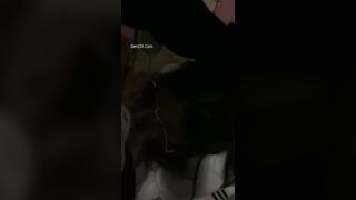 Sex Hảii Yếnn Hs Love 12 Some Tập Thể Cùng 2 Thằng Bạn Thân