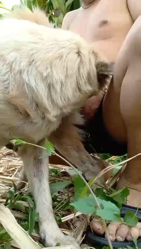 Đụ em chó cái