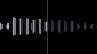 Voice sĩ nhục mấy con chó đực p1