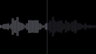 Voice sĩ nhục mấy con chó đực p1