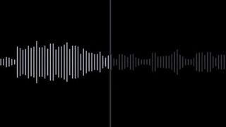 Voice sĩ nhục mấy con chó đực p1