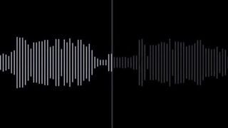 Voice sĩ nhục mấy con chó đực p1