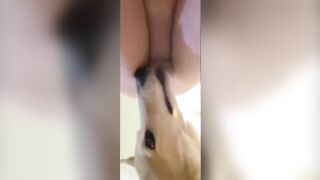 Xem em doggy với chó nha