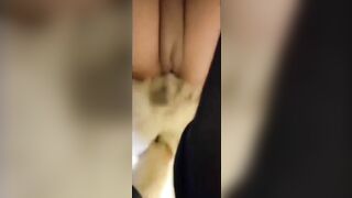 Xem em doggy với chó nha