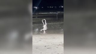 Biển này nổi loạn quá!