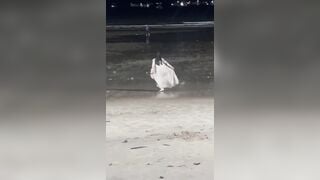 Biển này nổi loạn quá!