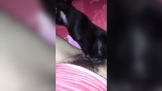 Đó giờ chưa được ai liếm loz cho nên không biết cảm giác thế nào