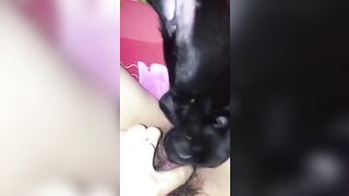 Đó giờ chưa được ai liếm loz cho nên không biết cảm giác thế nào