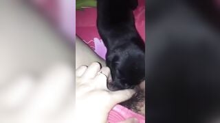 Đó giờ chưa được ai liếm loz cho nên không biết cảm giác thế nào