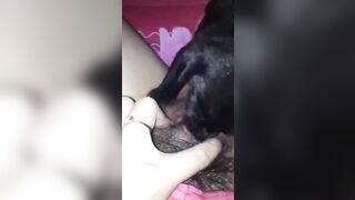Đó giờ chưa được ai liếm loz cho nên không biết cảm giác thế nào