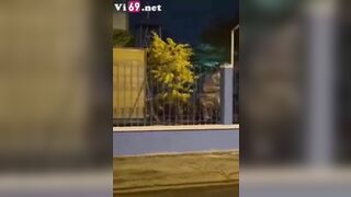 Làm tình cùng em tu sĩ hàng họ cực múp ngay giữa đường