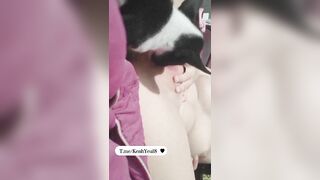 Phạm Ngọc Diễm 2ka9 bím non tơ cho chó liếm bím