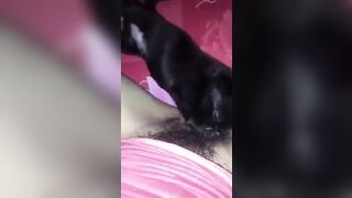 em học sinh cho chó bú bím thay vì bú sữa