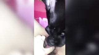 em học sinh mới lớn cho chó con bú lồn để thỏa mãn cơn nứng lồn