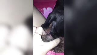em học sinh mới lớn cho chó con bú lồn để thỏa mãn cơn nứng lồn