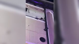 cặp đôi hot nhất hôm nay địt nhau bị người dân quay lại